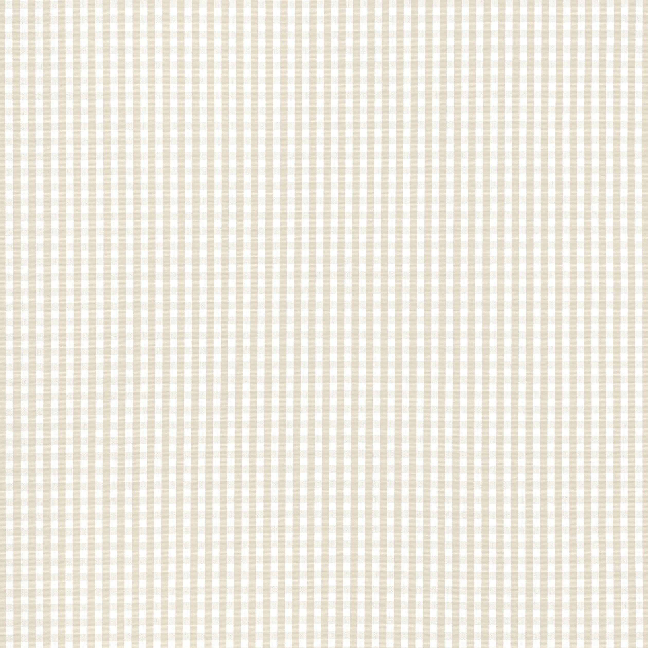 Anna French Leighton Check in Beige (AW24509)