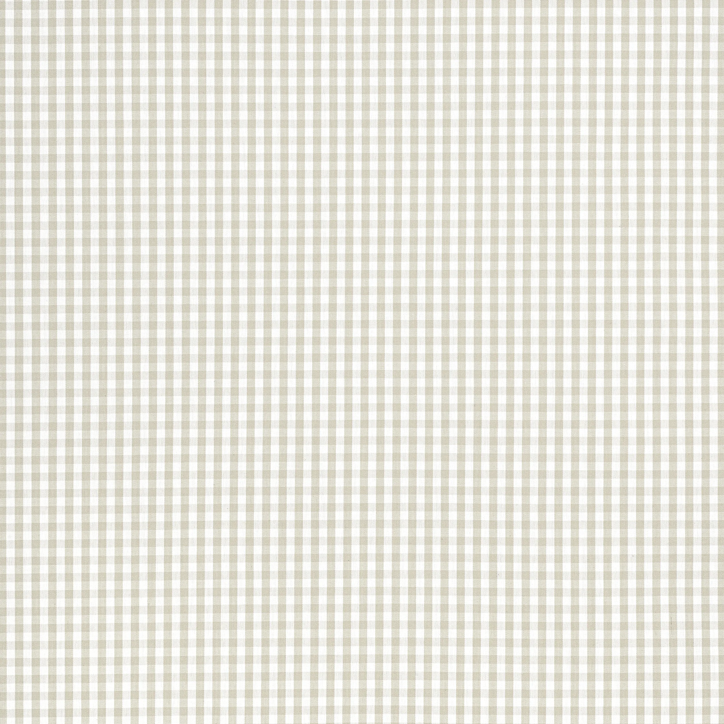 Anna French Leighton Check in Linen (AW24514)