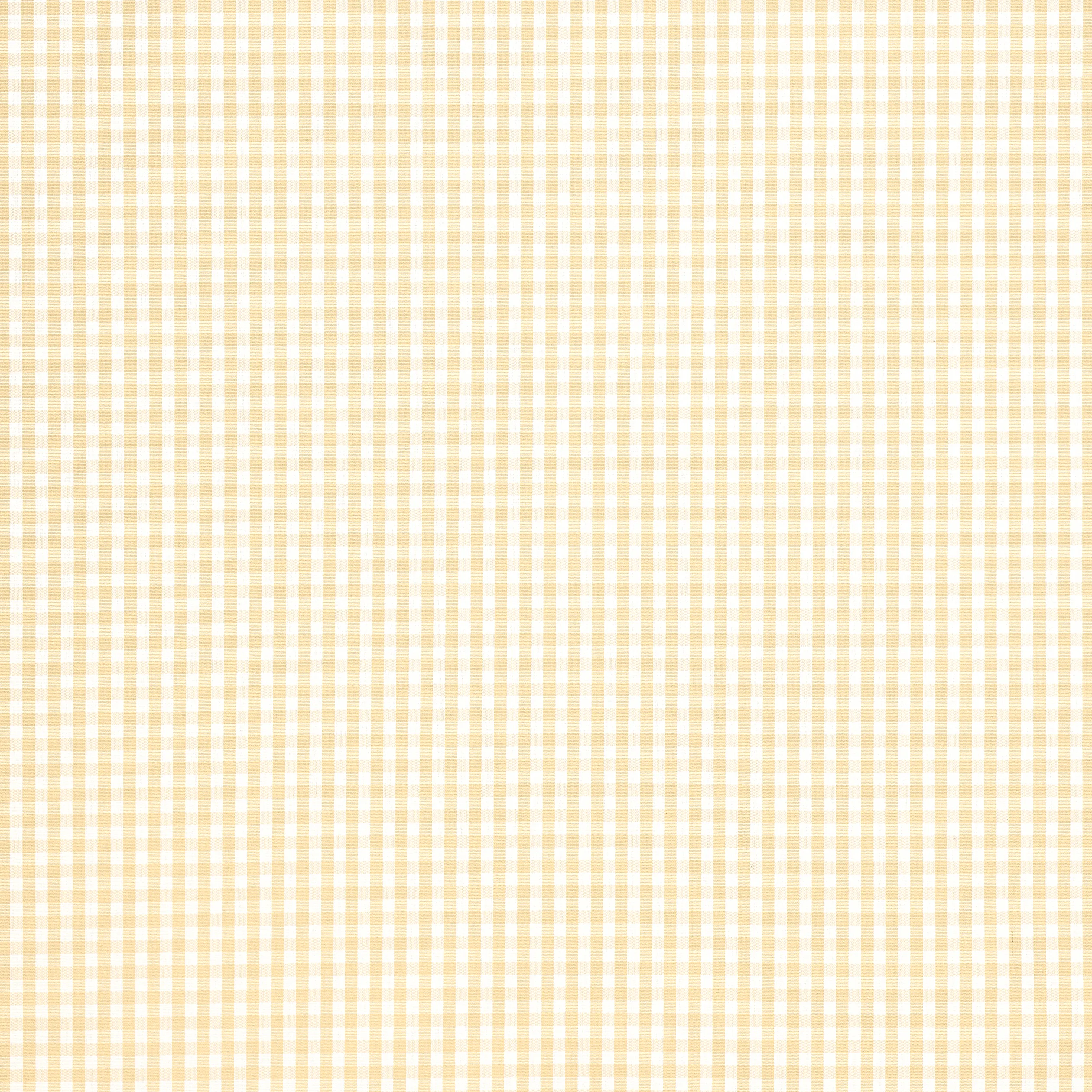Anna French Leighton Check in Soft Gold (AW24510)