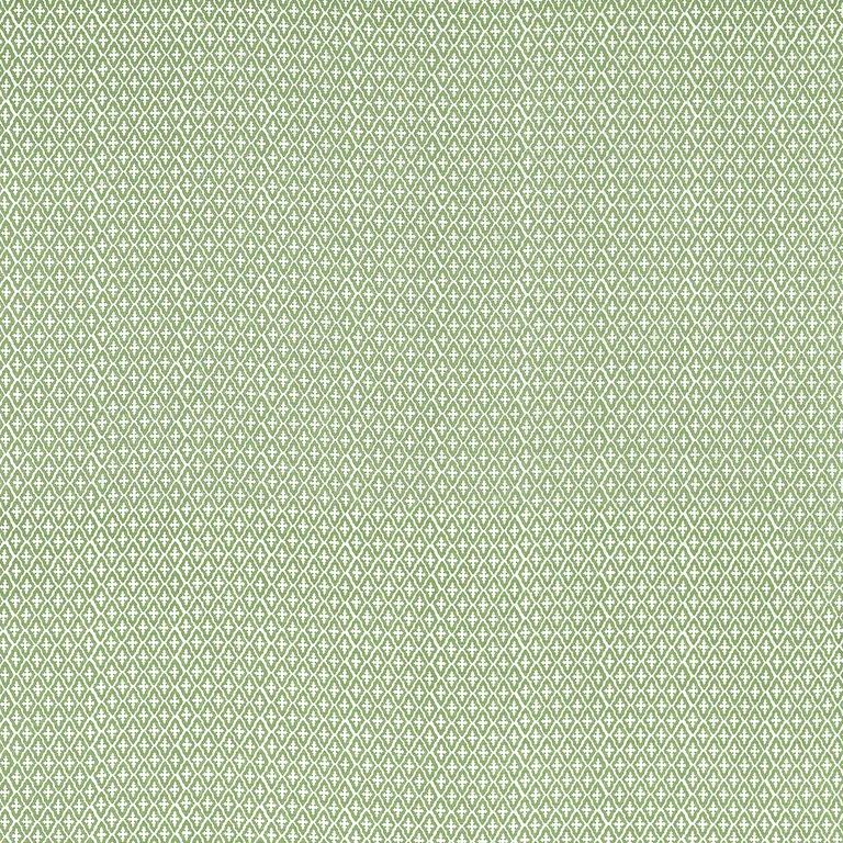 Anna French Lindsey in Green (AF57814)