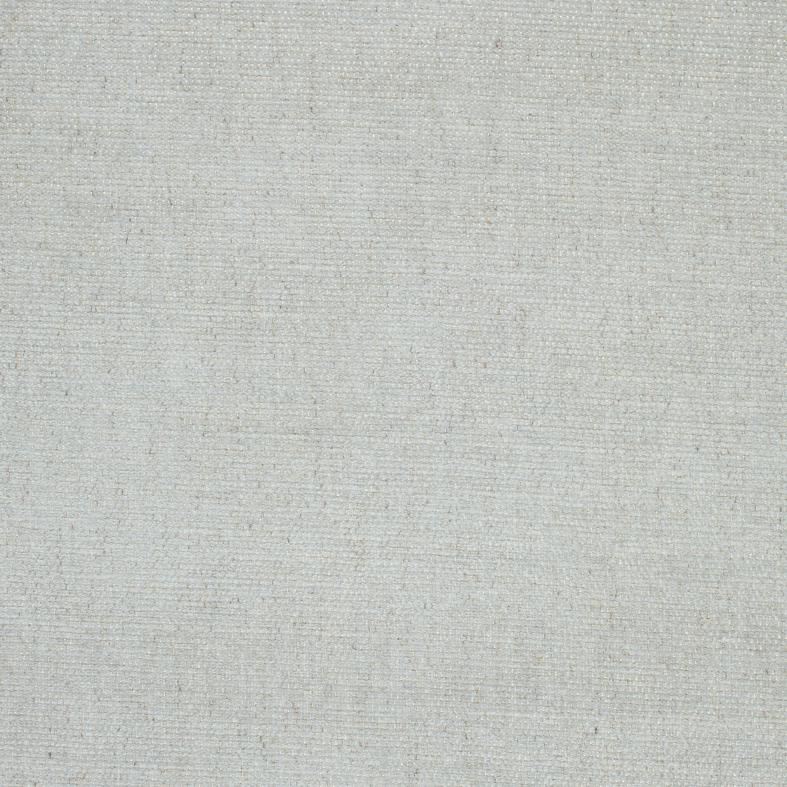 Thibaut Luna in Fog (W789145)