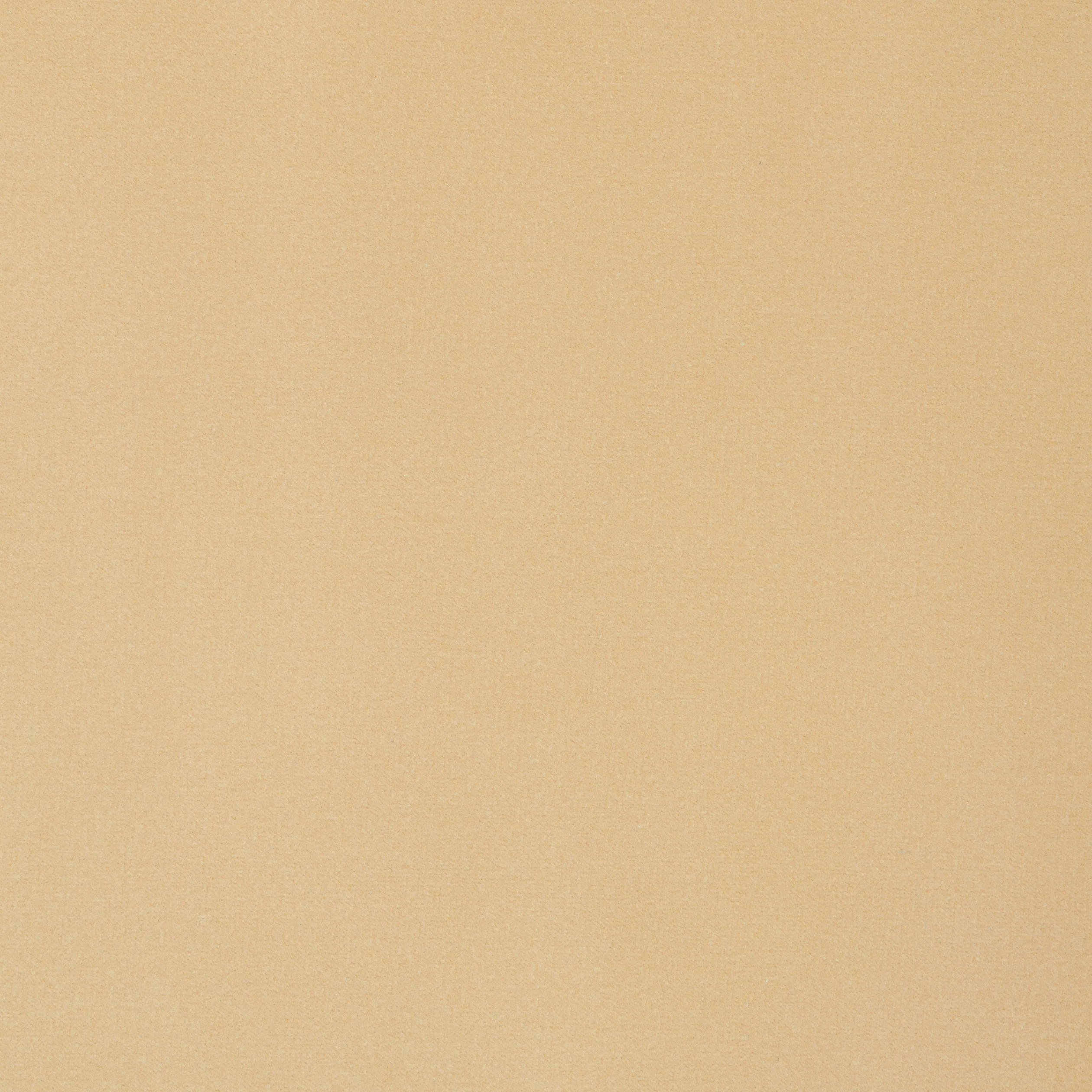 W8905 | Lyra Velvet – Camel