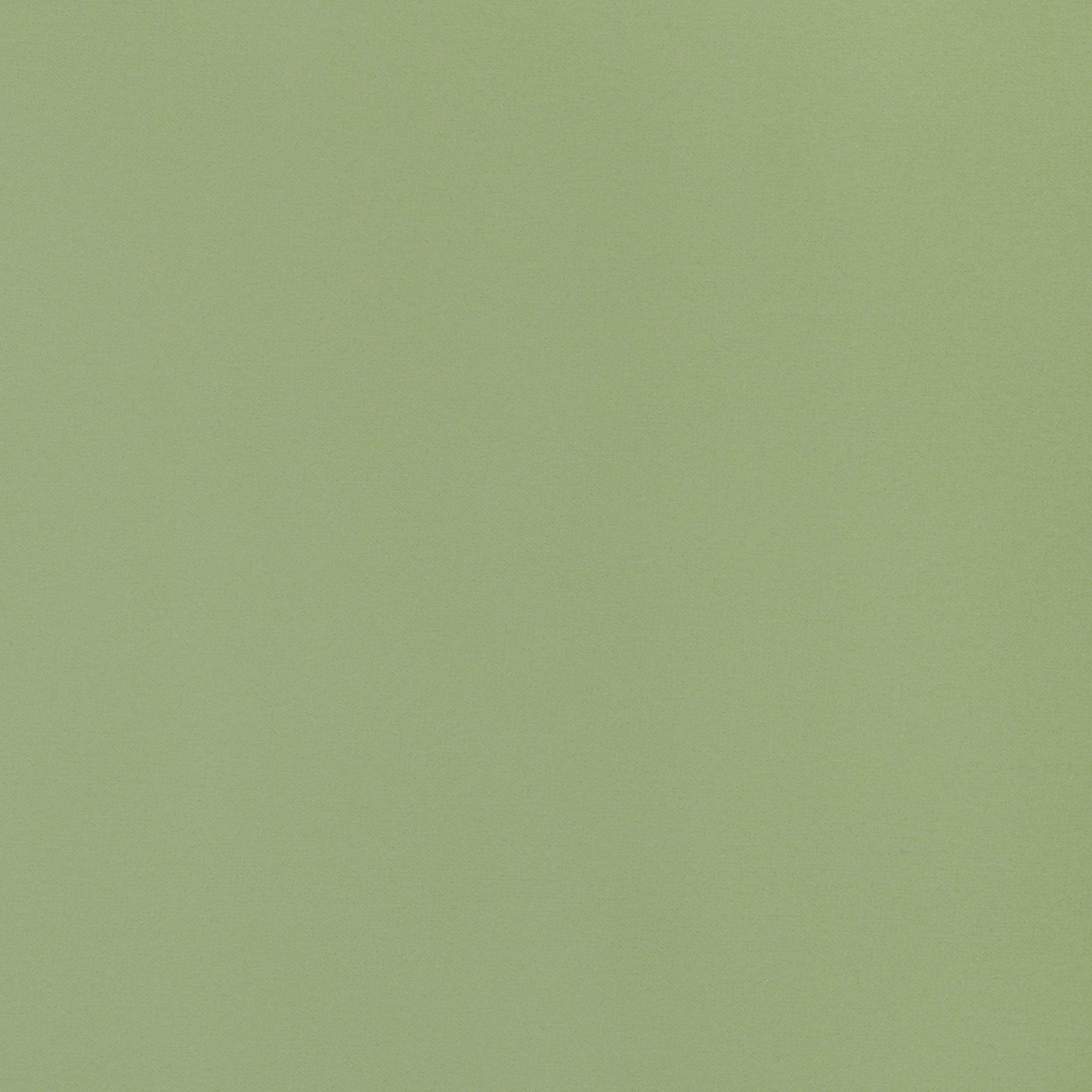 W8923 | Lyra Velvet – Moss