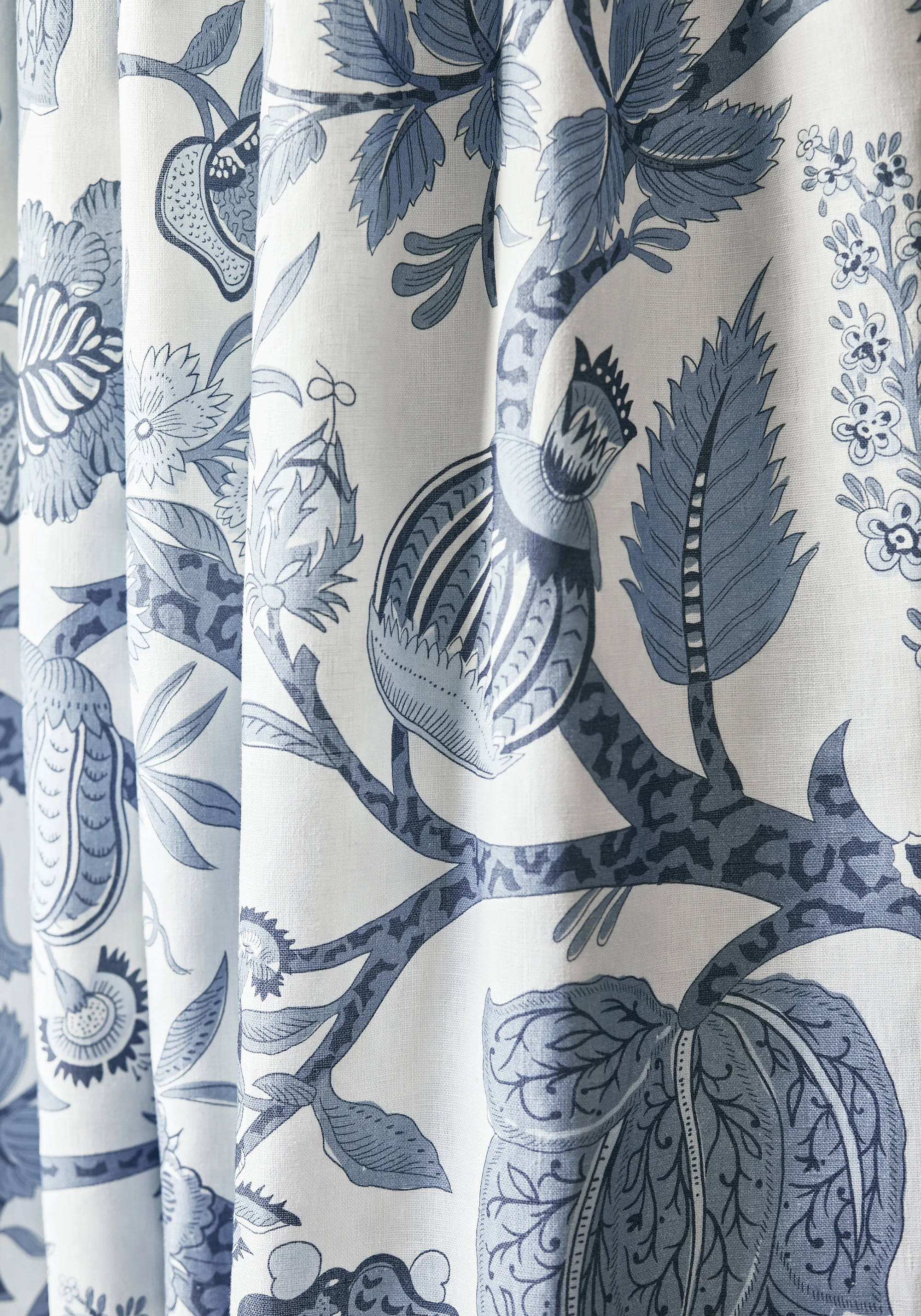 Thibaut Macbeth in Blue (F972624)