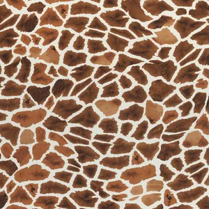 Thibaut Makena in Tobacco (F910219)