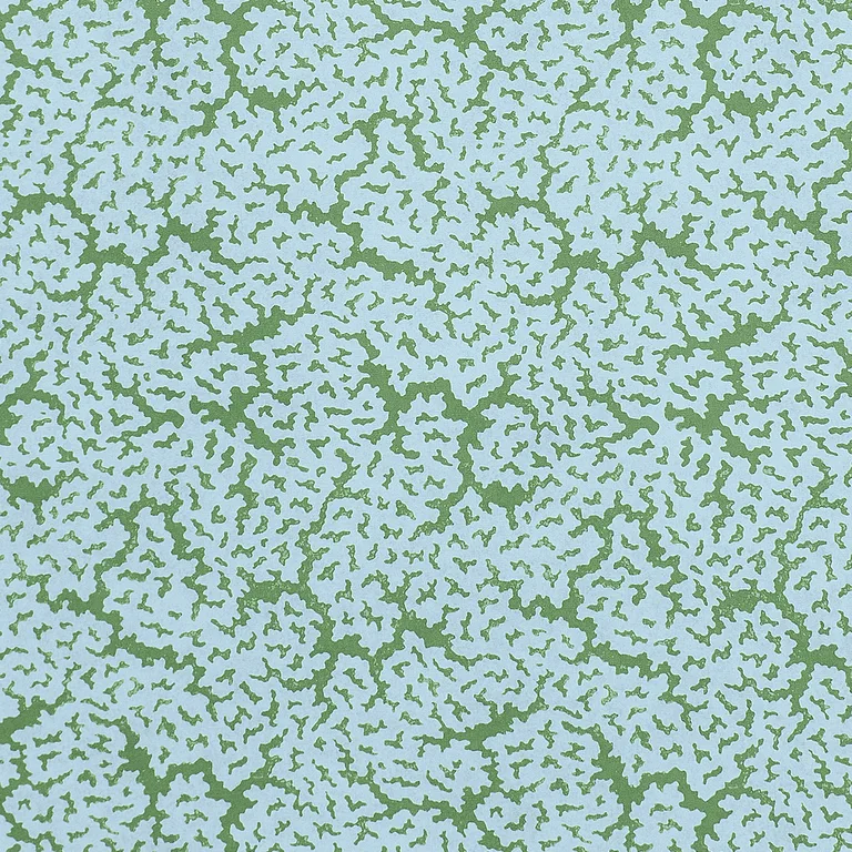 Thibaut Maldives in Blue and Green (F942044)