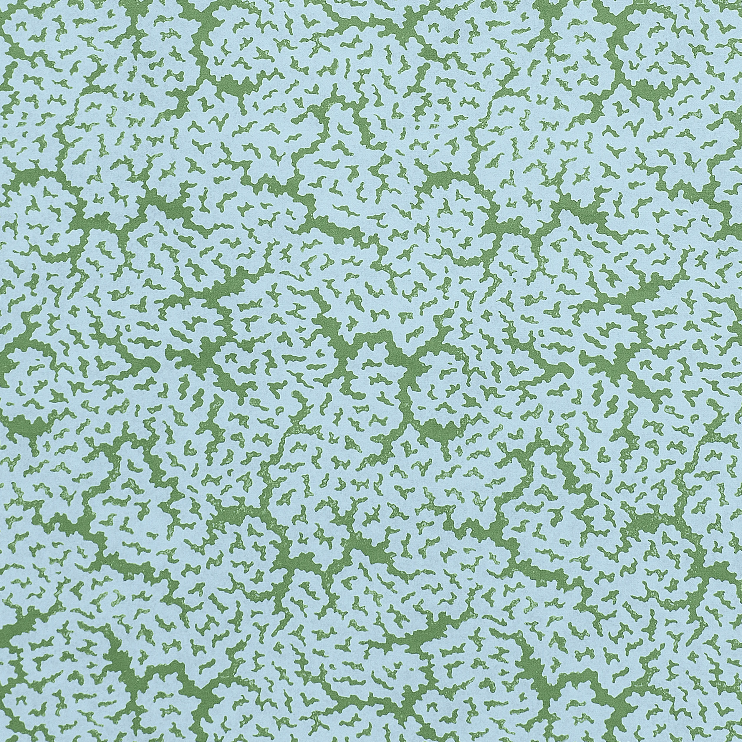 F942044 | Maldives – Blue and Green