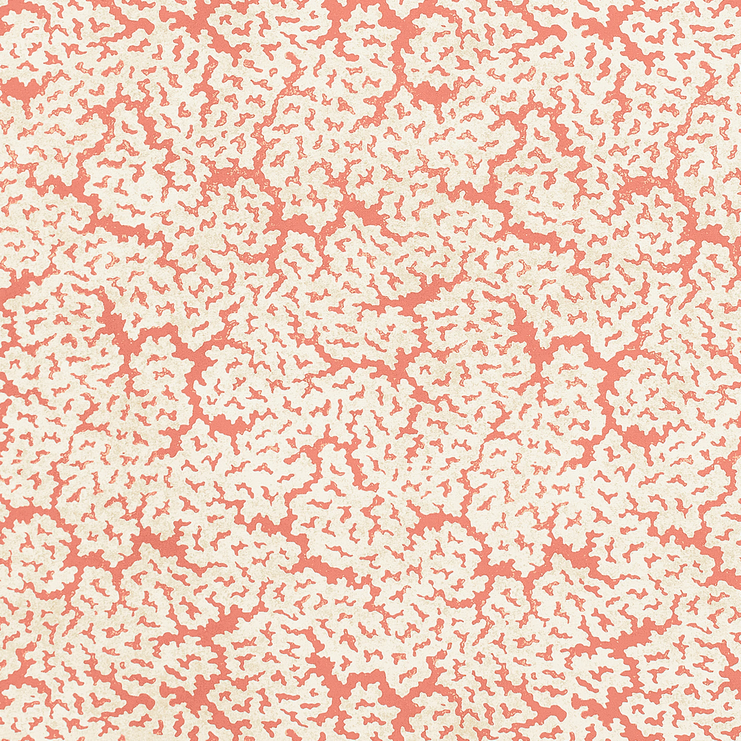 F942043 | Maldives – Coral