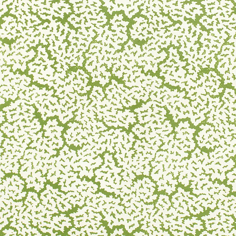 Thibaut Maldives in Green (F942041)