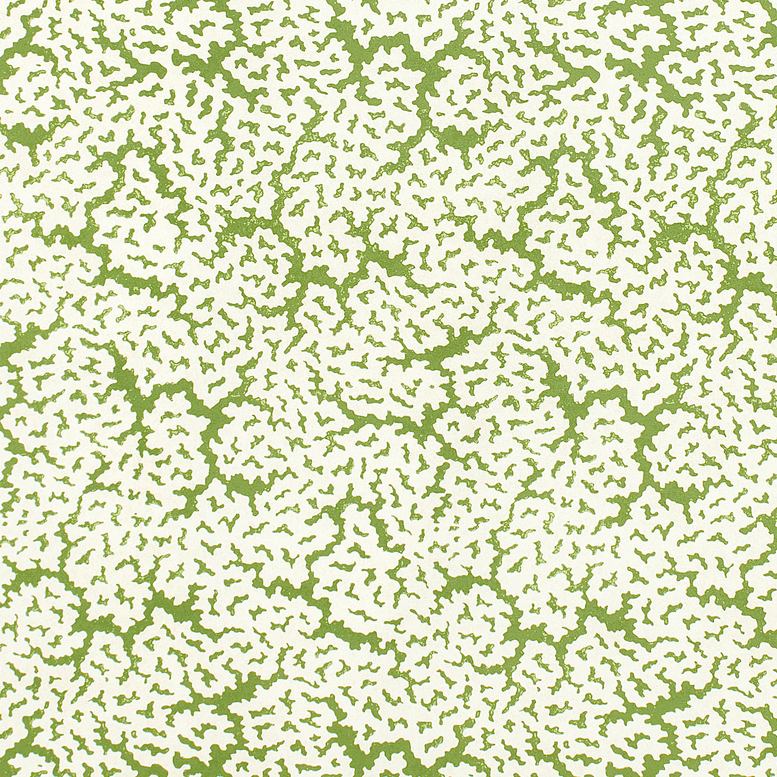 F942041 | Maldives – Green