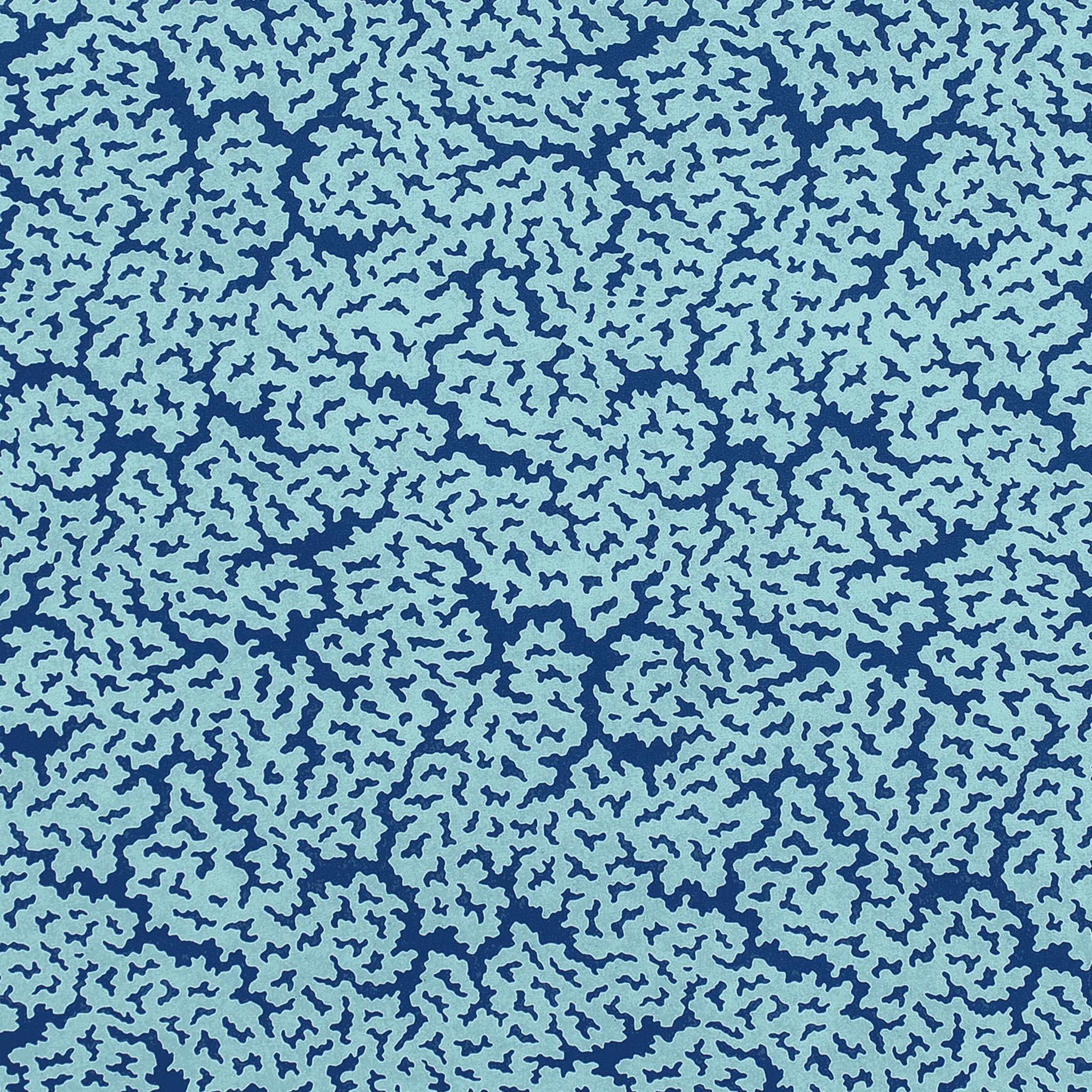 F942040 | Maldives – Navy