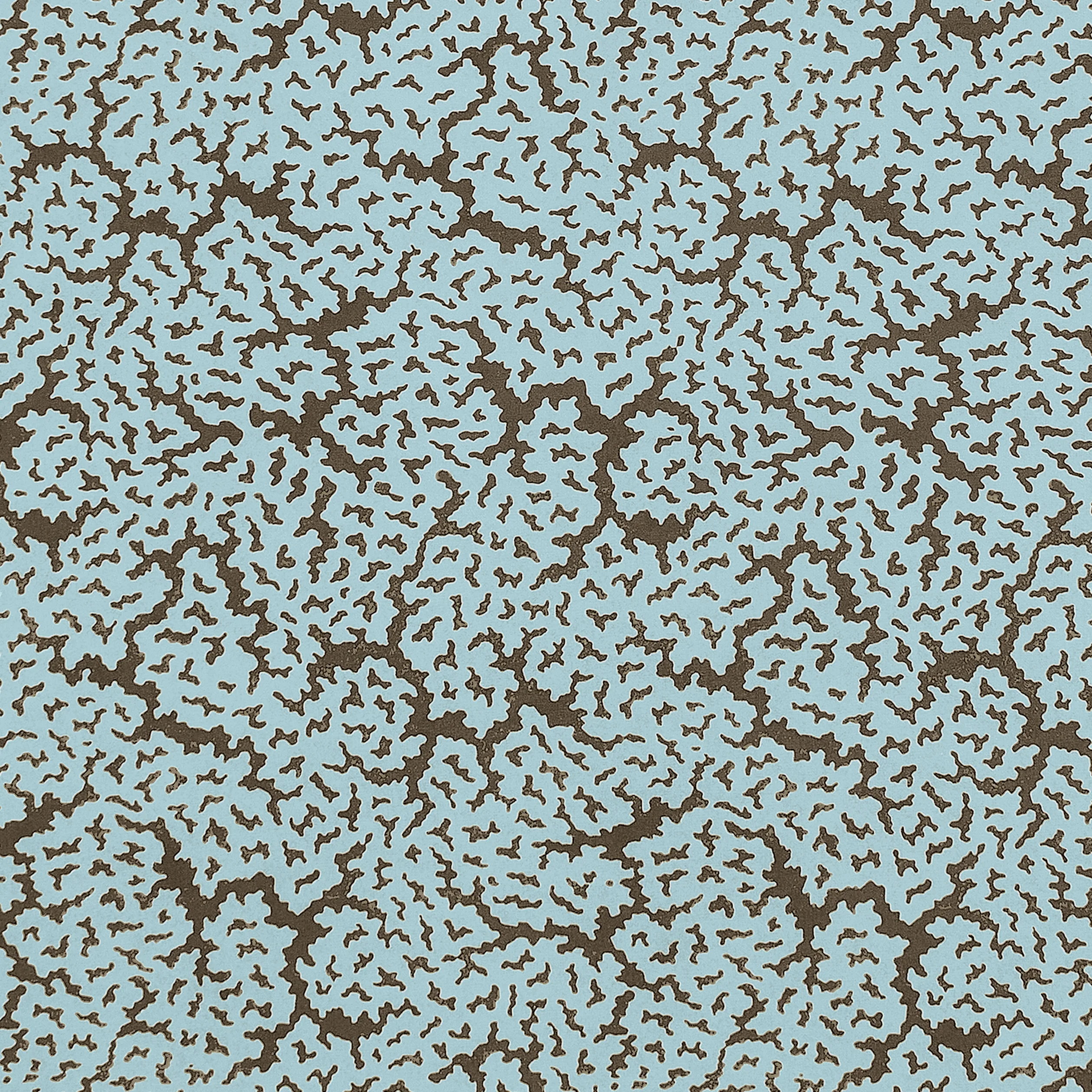 F942045 | Maldives – Spa Blue and Brown