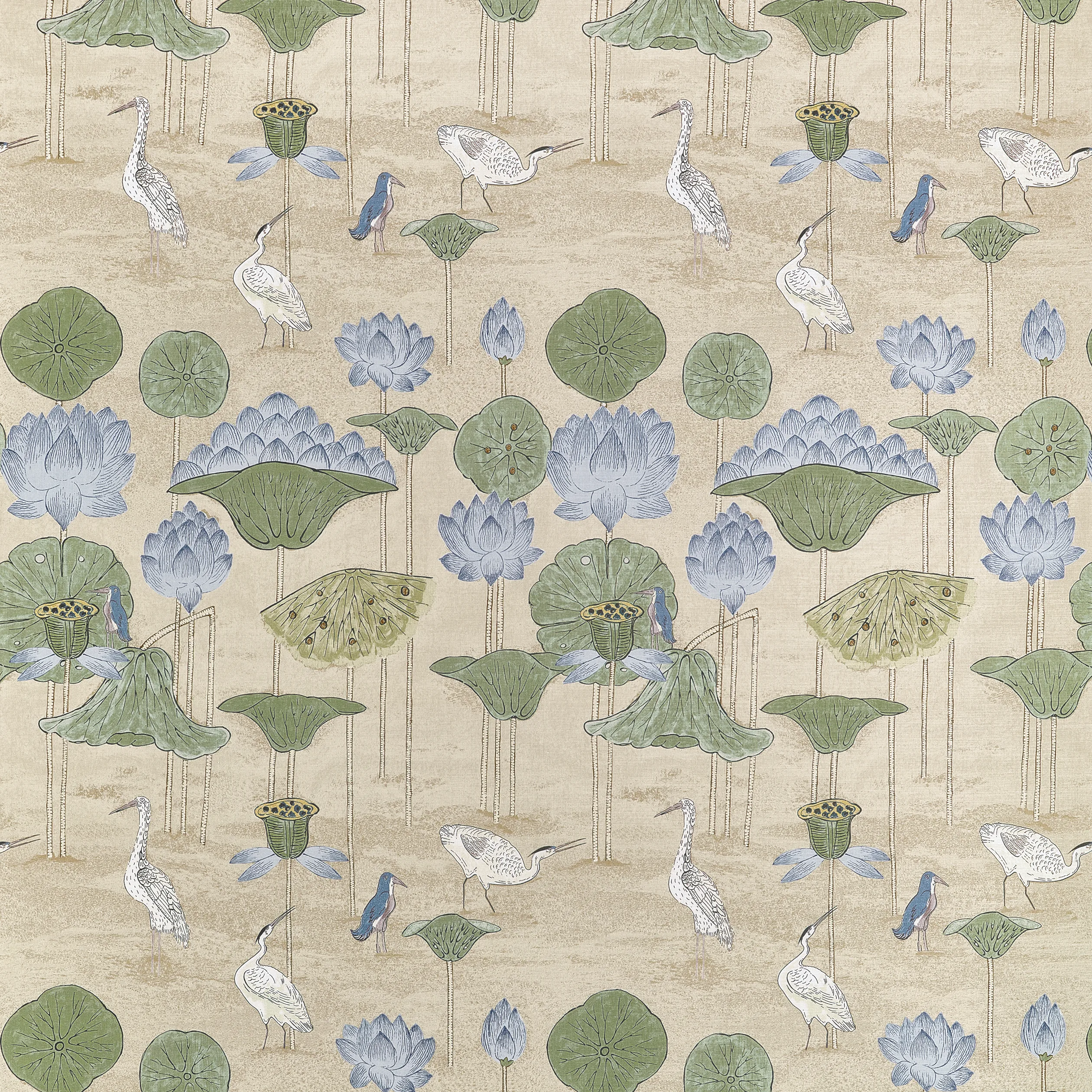 Thibaut Malea in Sage and Blue (F914638)