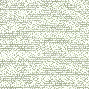 Thibaut Maluku in Spruce (F981330)