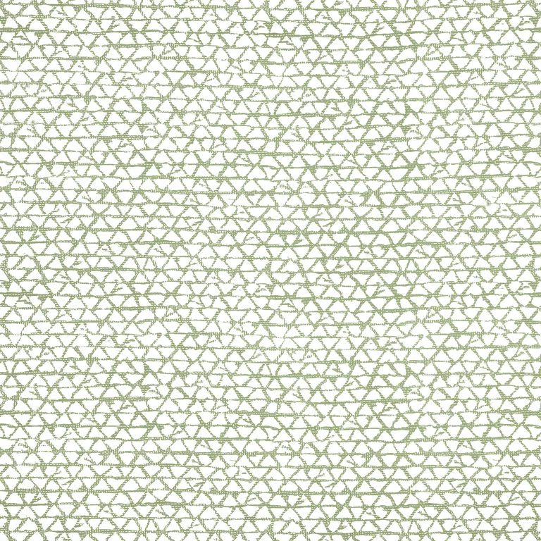 Thibaut Maluku in Spruce (F981330)