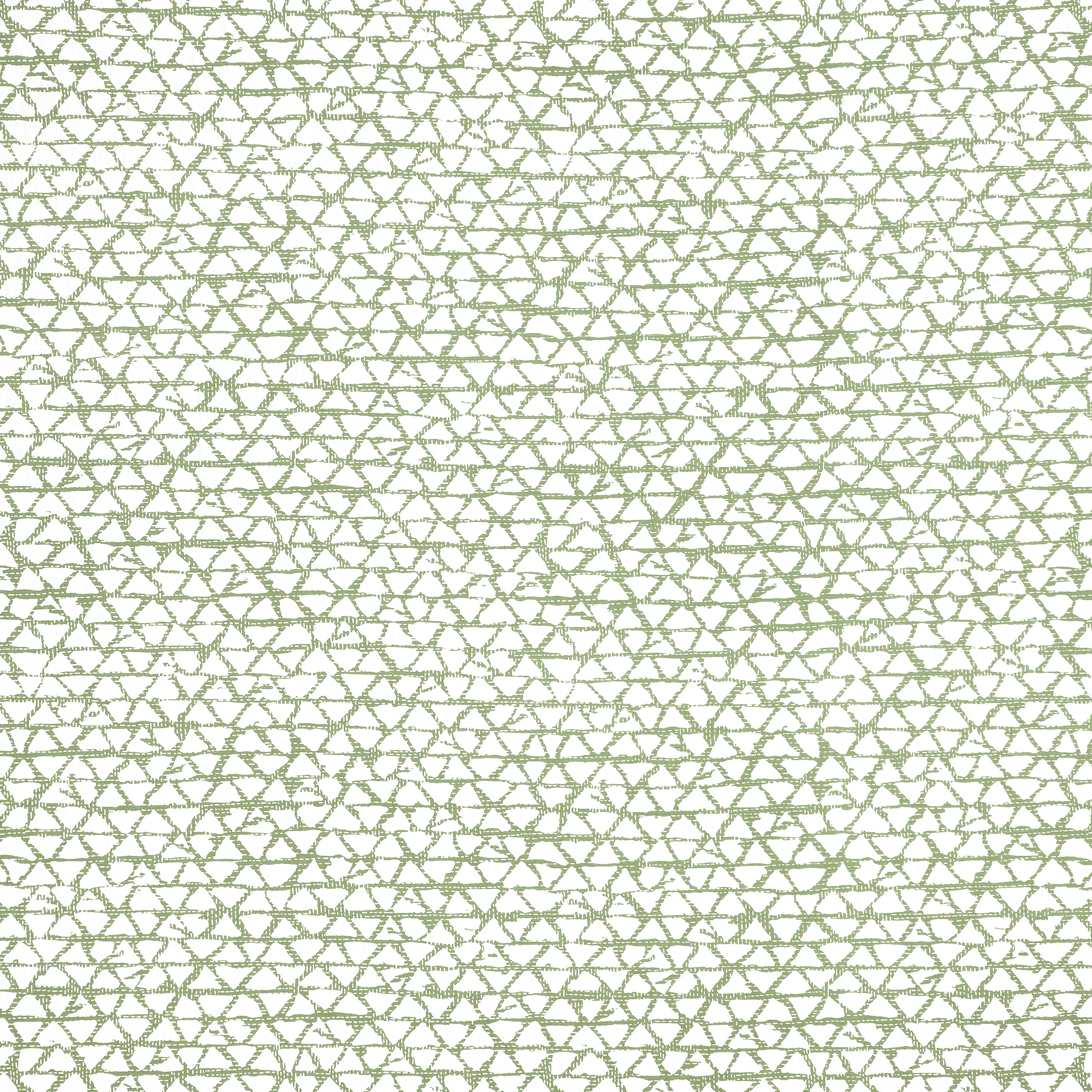 F981330 | Maluku – Spruce