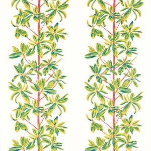 Thibaut Mangrove Tree in Coral (F945036)