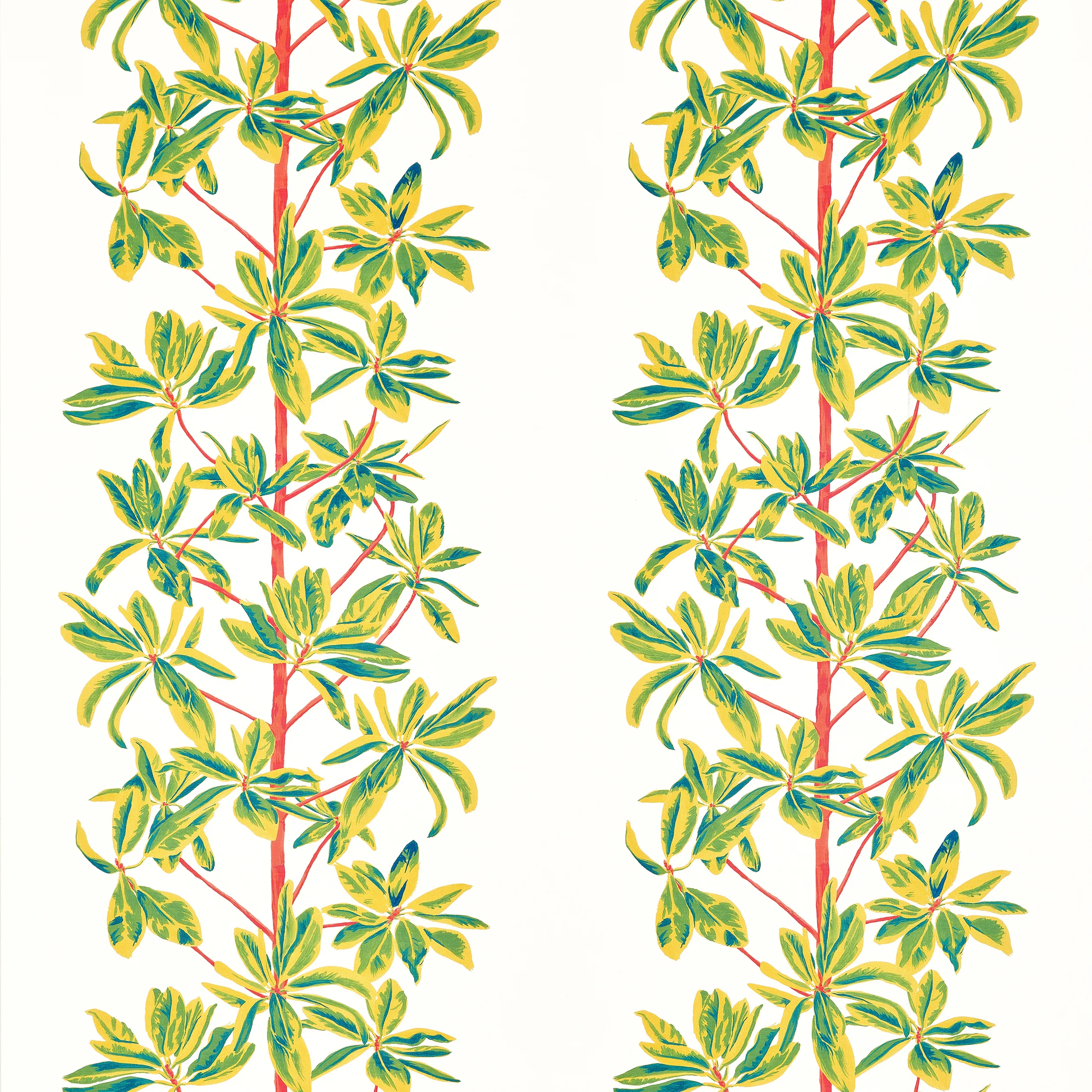 F945036 | Mangrove Tree – Coral