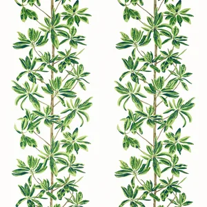 Thibaut Mangrove Tree in Green and White (F945035)