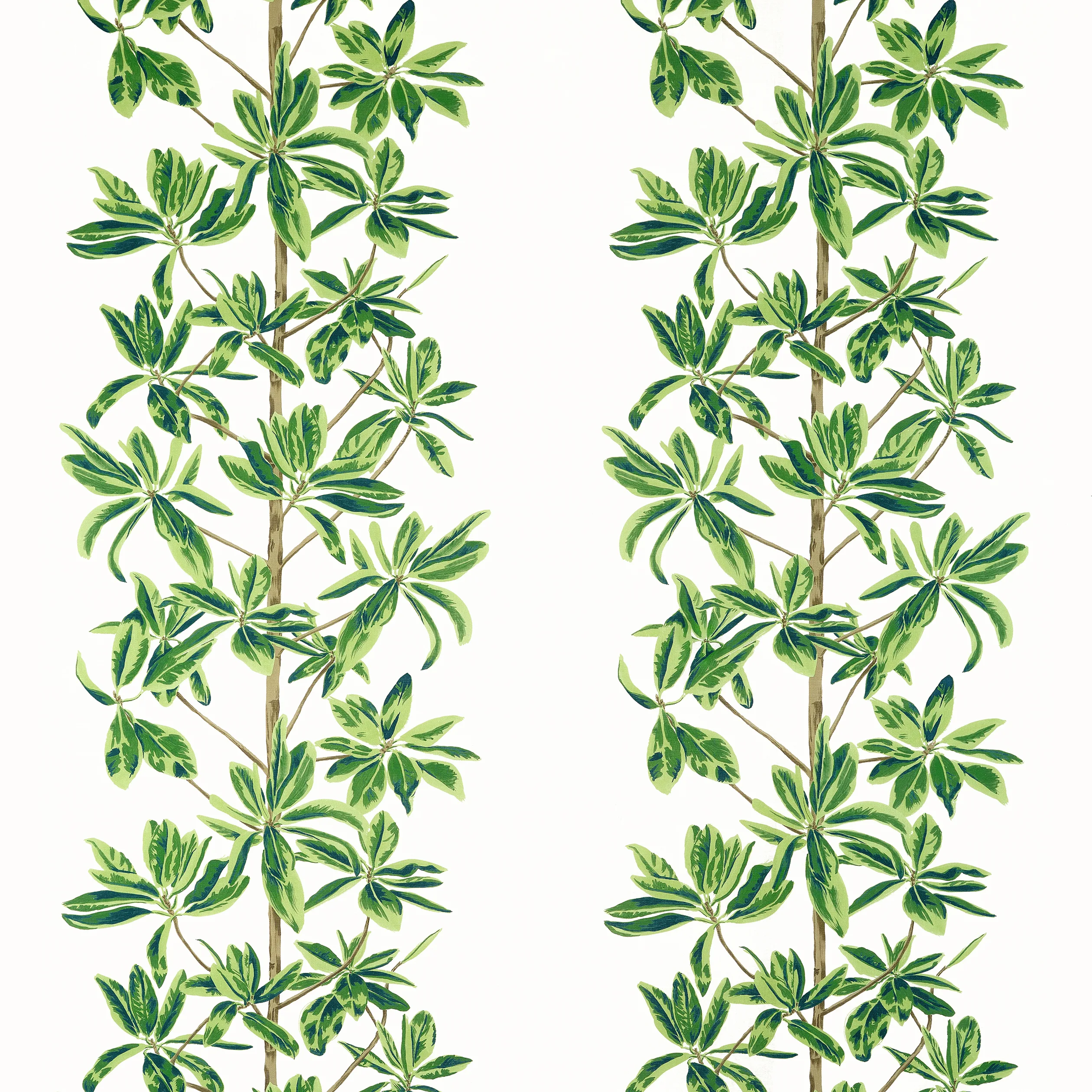 F945035 | Mangrove Tree – Green and White