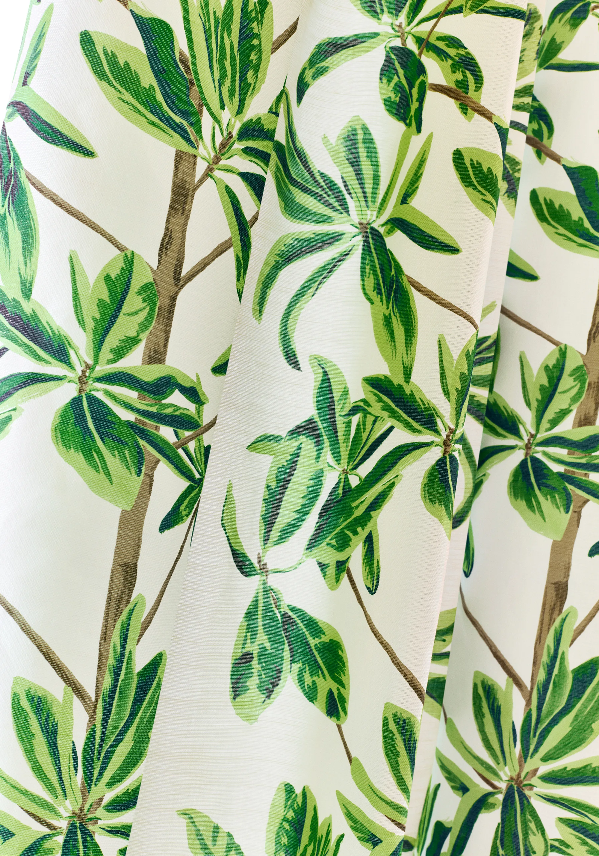 Thibaut Mangrove Tree in Green and White (F945035)