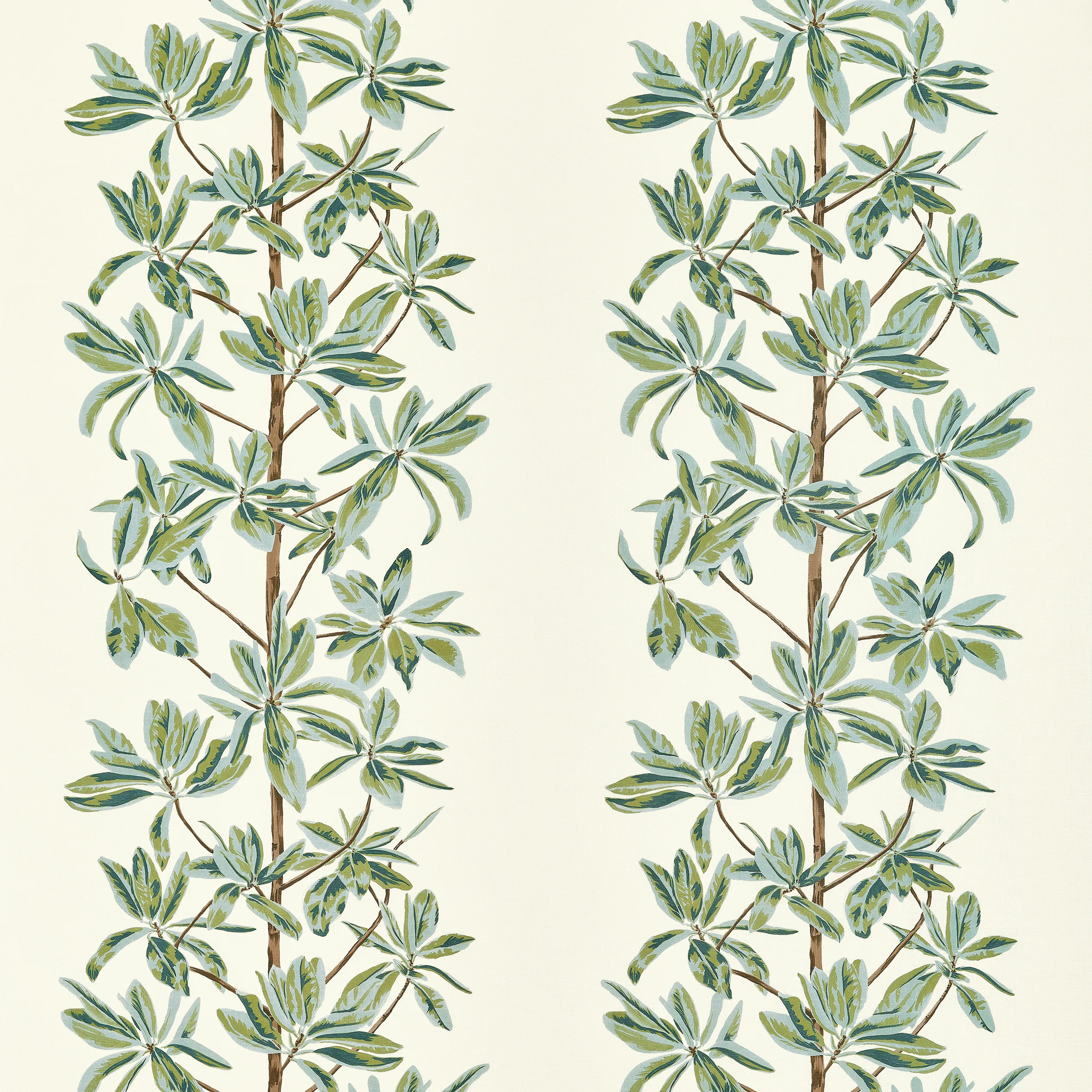 F945034 | Mangrove Tree – Sage