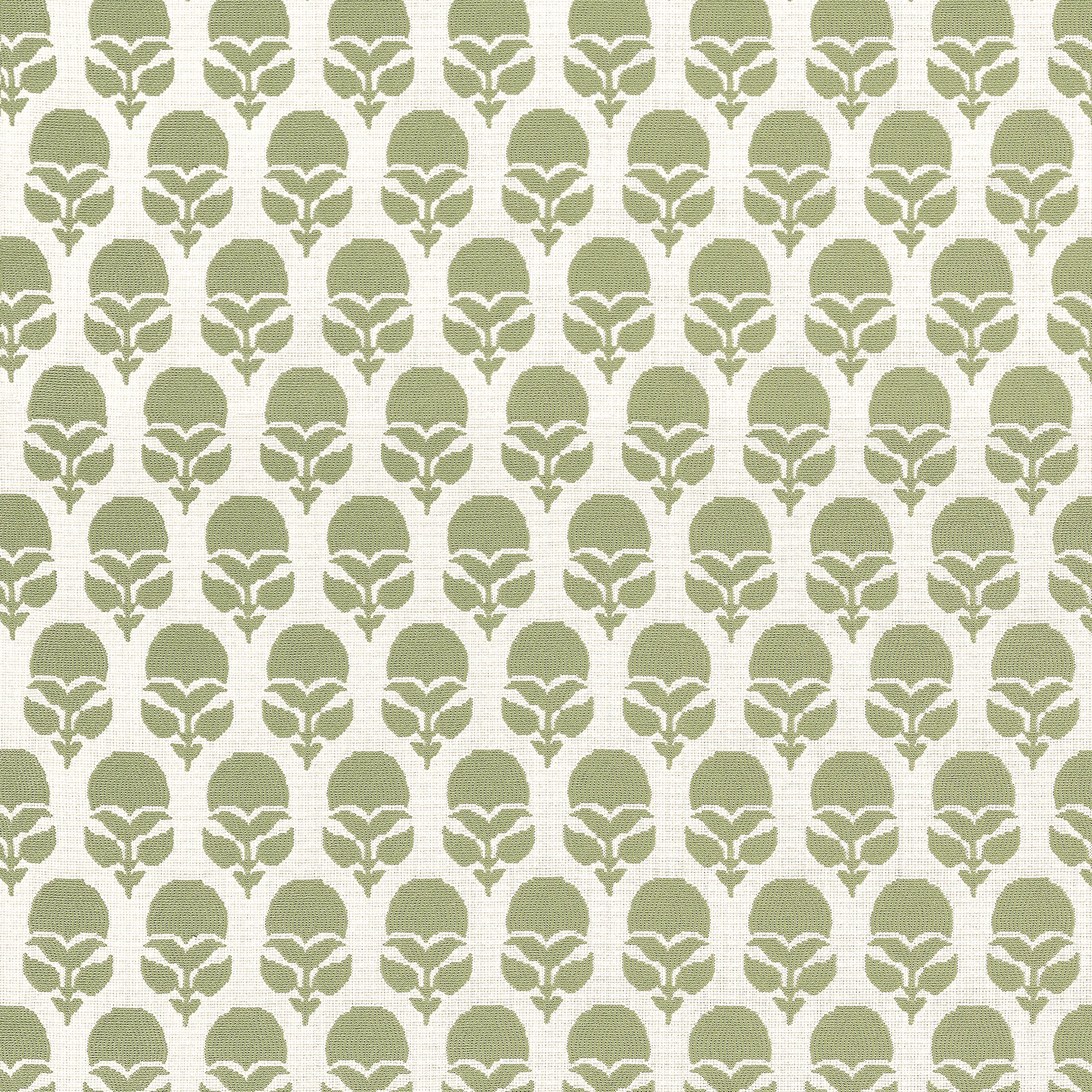 AW9228 | Marguerite – Willow