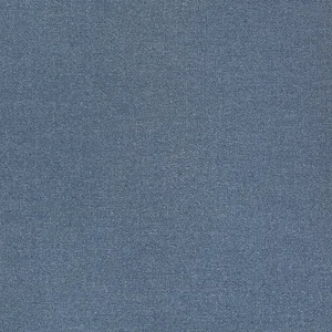 Thibaut Marquette in Denim (W711242)