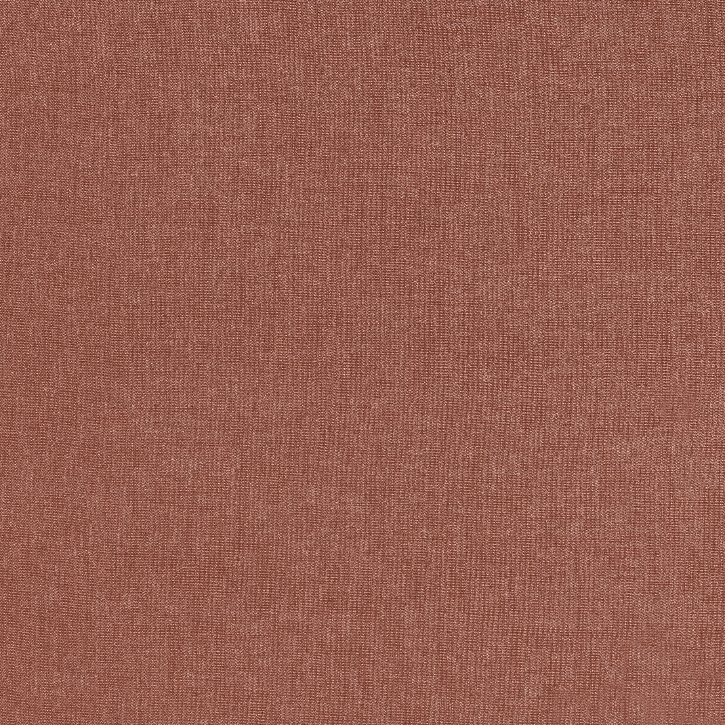 Thibaut Mauro in Cinnabar (W711347)