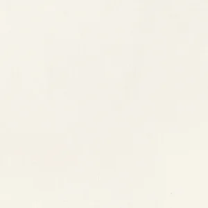 Thibaut Mauro in Parchment (W711342)