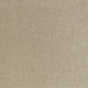 Thibaut Mauro in Stone (W711344)