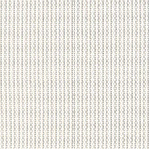 Thibaut Menton in Neutral (W81776)
