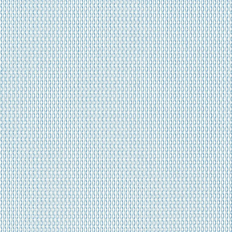 Thibaut Menton in Sky (W81779)