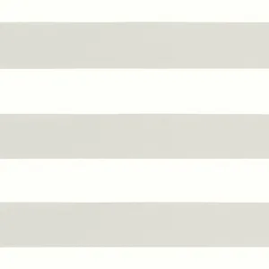Thibaut Meridian in Dove (FWW81720)