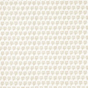 Thibaut Mimi in Beige (F936446)