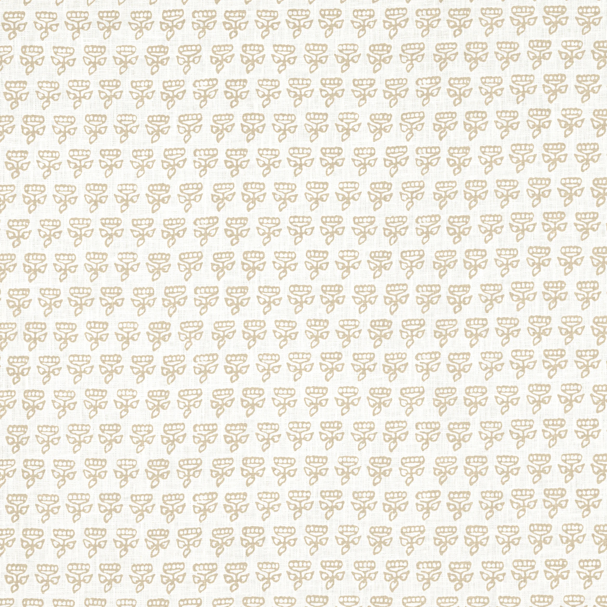 Thibaut Mimi in Beige (F936446)