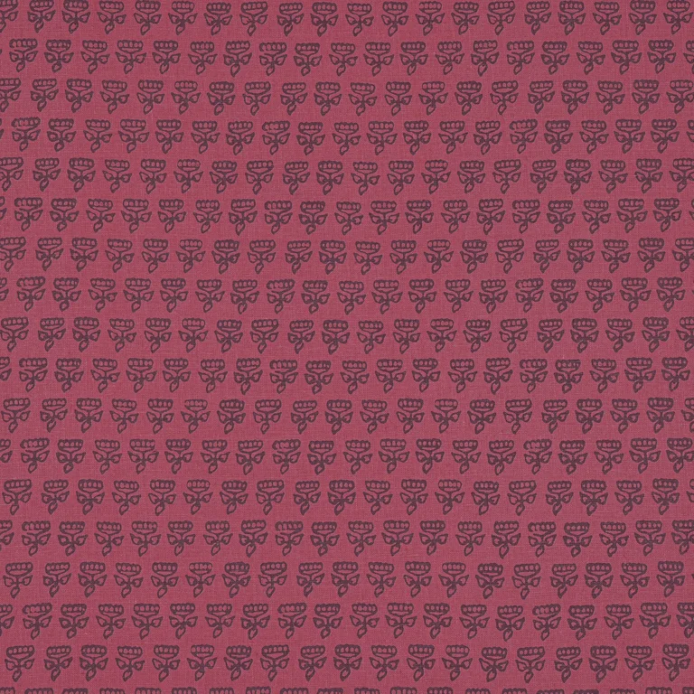 Thibaut Mimi in Raspberry (F936447)