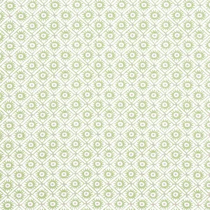 Anna French Mini Sun in Green (AF24568)