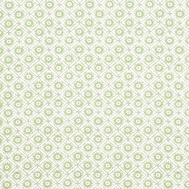 Anna French Mini Sun in Green (AF24568)