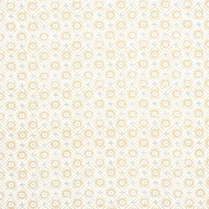 Anna French Mini Sun in Soft Gold (AF24566)