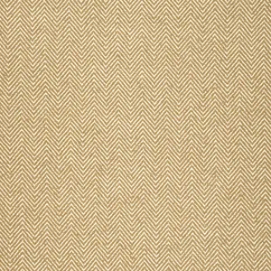 Thibaut Monviso in Camel (W77126)