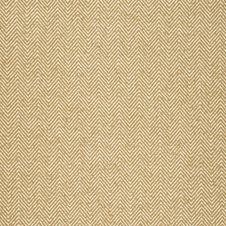 Thibaut Monviso in Camel (W77126)