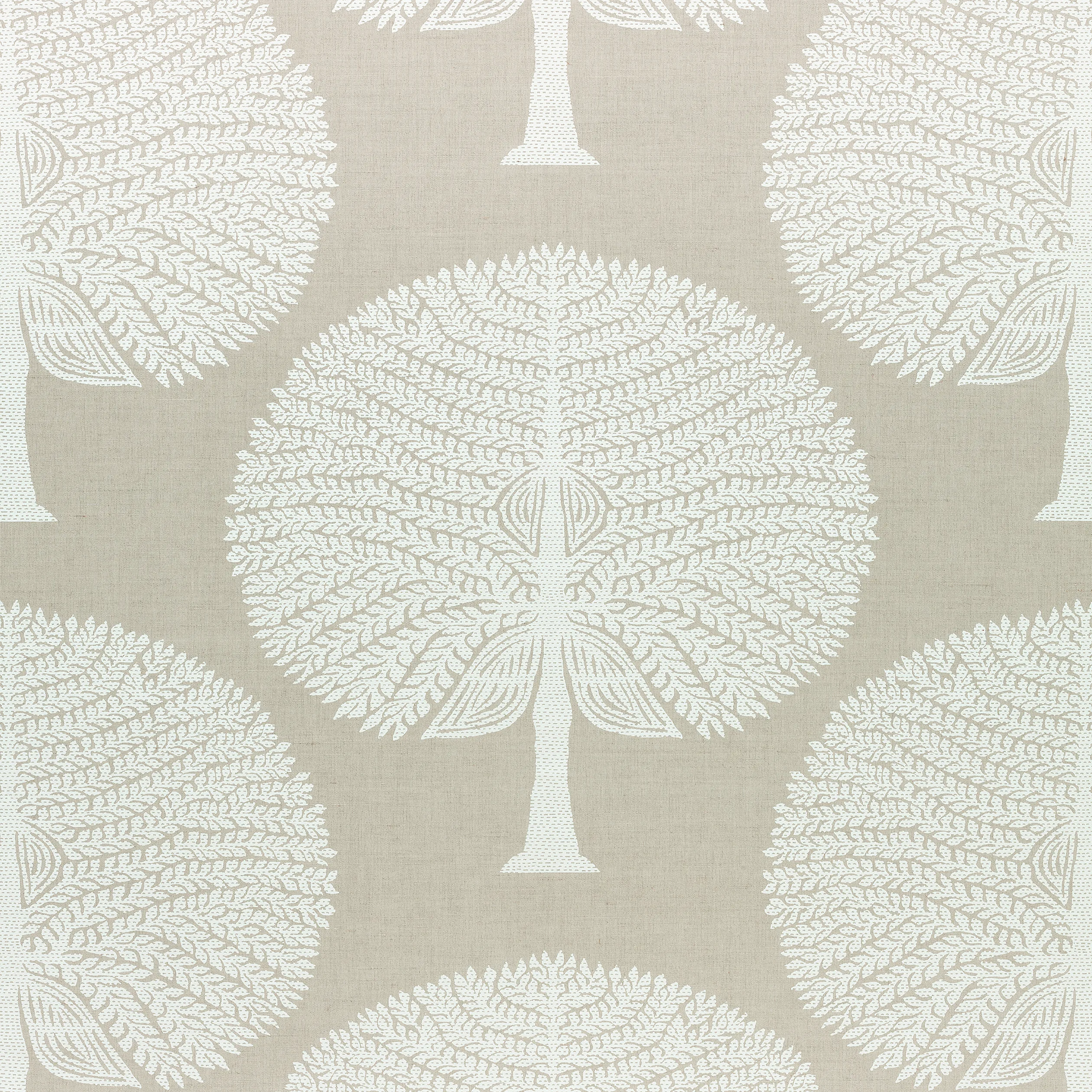 F910601 | Mulberry Tree – Natural