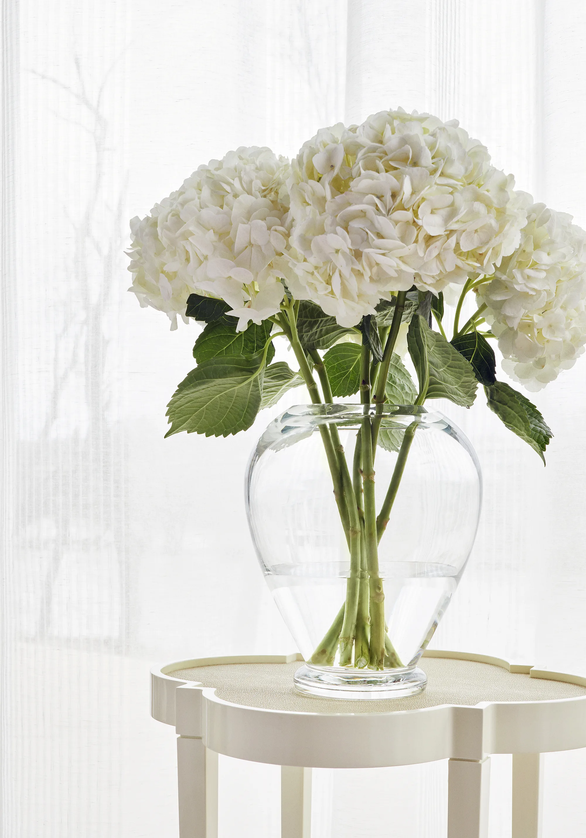 Thibaut Mystic Stripe in Snow White (FWW7111)