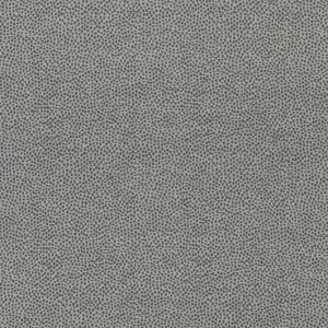 Thibaut Nala in Charcoal (W74081)
