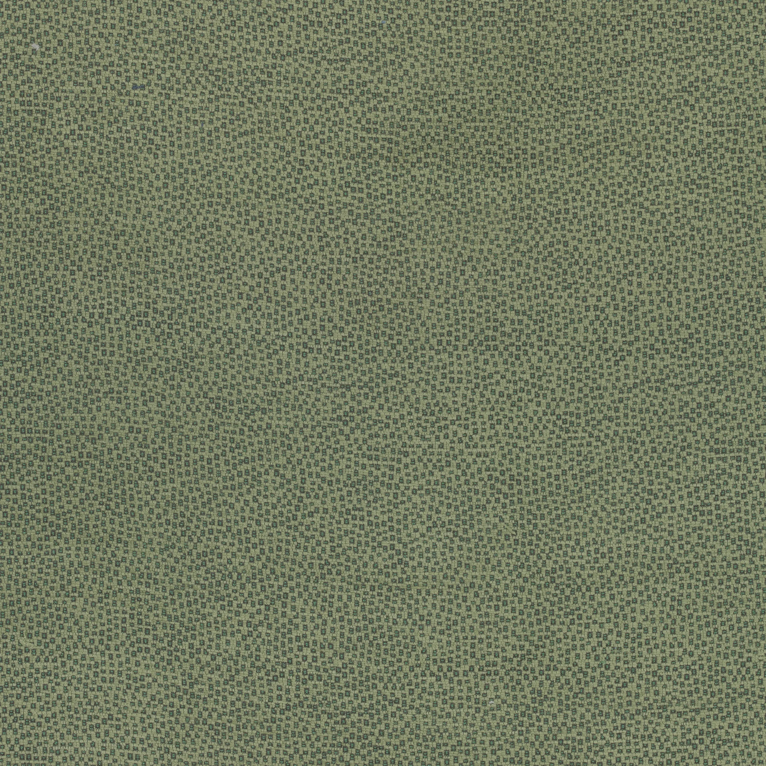Thibaut Nala in Emerald (W74078)