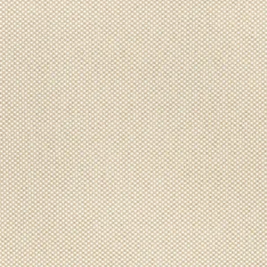 Thibaut Olin in Sahara (W711217)
