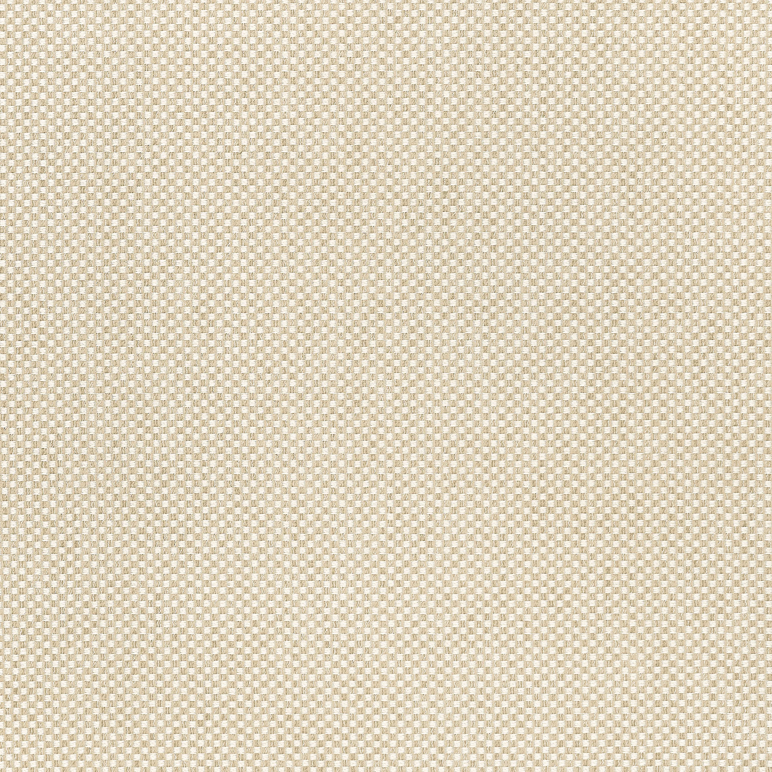 Thibaut Olin in Sahara (W711217)