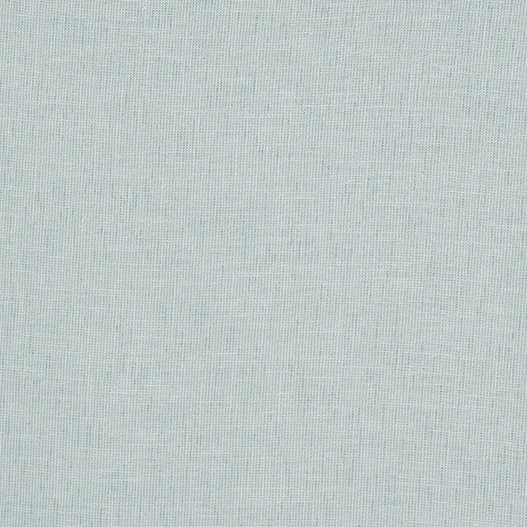 Thibaut Ottawa in Flint (FWW8249)