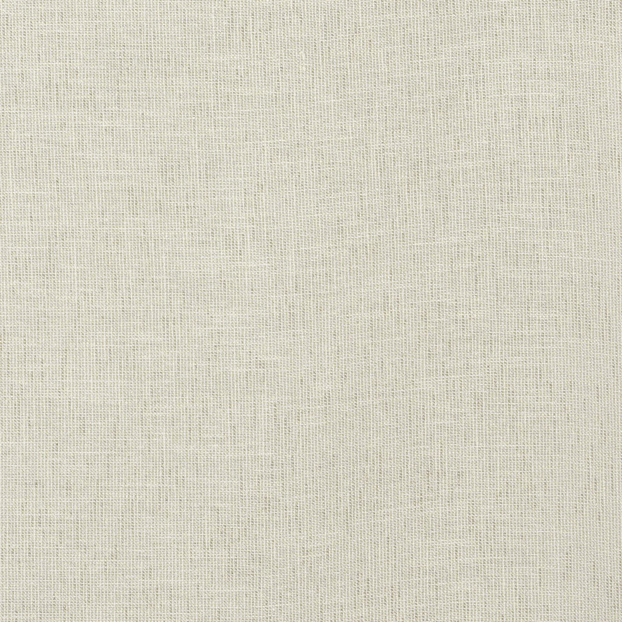 Thibaut Ottawa in Tea (FWW8247)